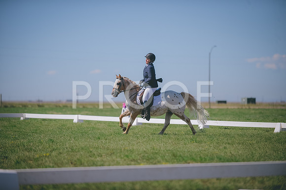 JJS_2623