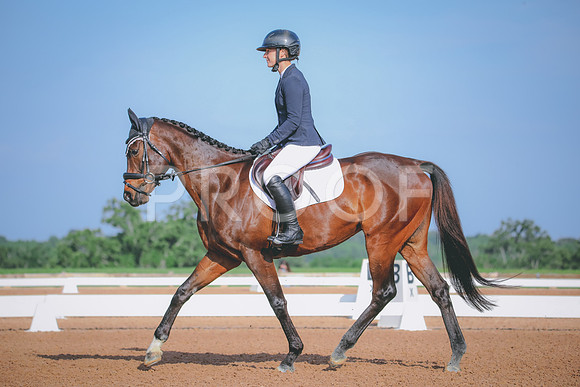 RWP_3832