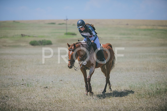 JJS_4293