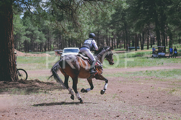 BBB_3749