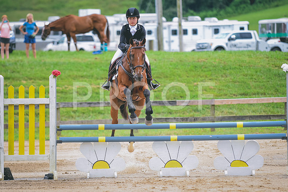 DSC_3612