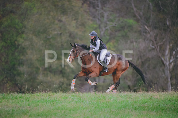 JJS_0664