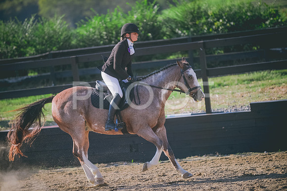 JJS_8039