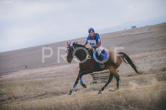 JJS_1008