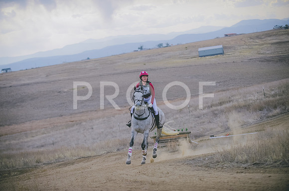 JJS_4827