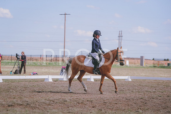 CDH_9337