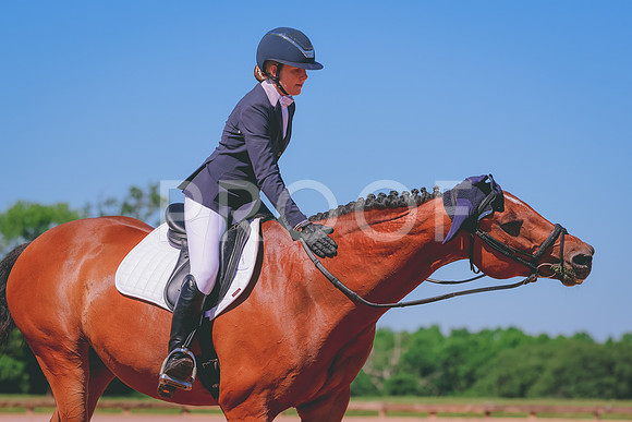 861A5817