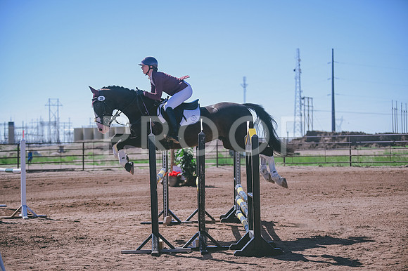 DSC_1866A