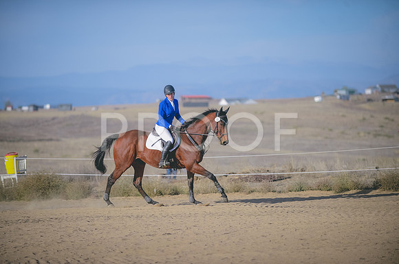 JJS_7953A