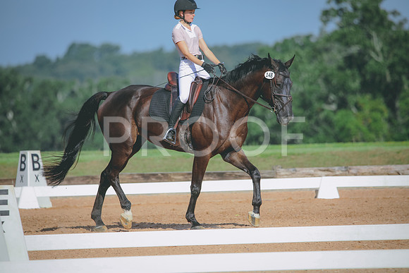 RWP_4650
