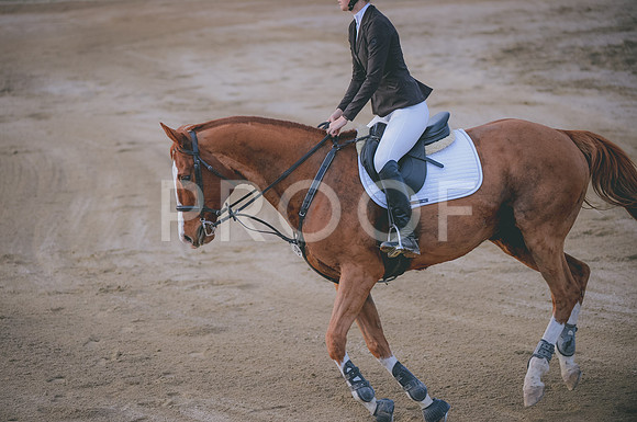 JJS_2215