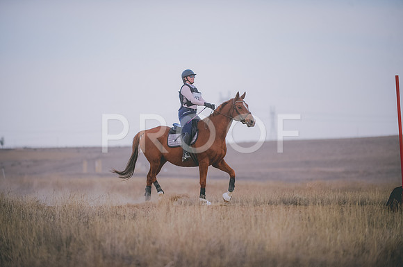 JJS_6141