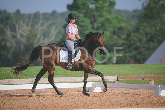 RWP_4355