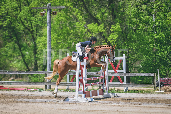 DSC_1706
