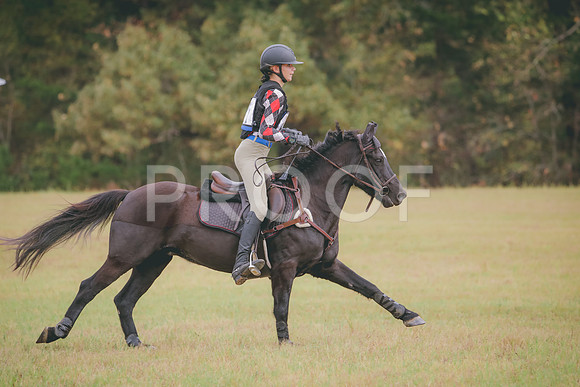 RWP_3696