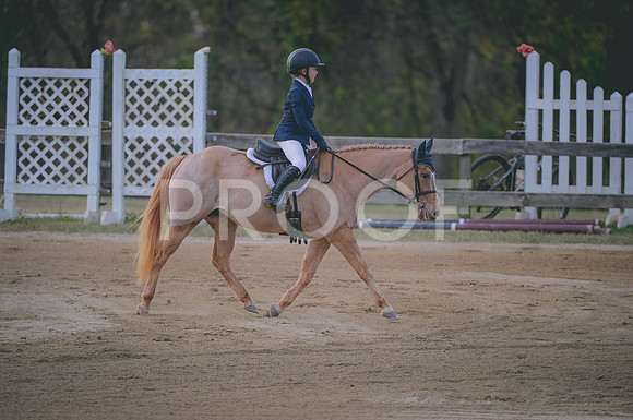 JJS_2444
