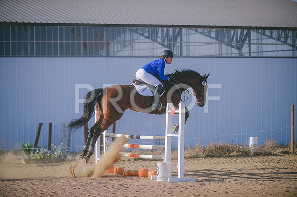 JJS_7947