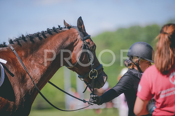 JJS_0759