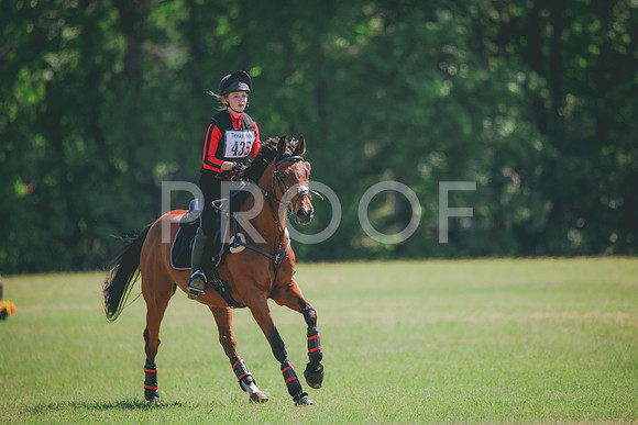 RWP_5134