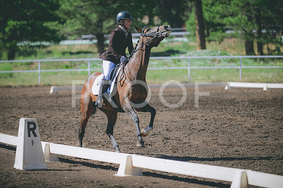 JJS_2915