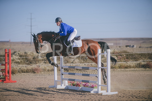 JJS_7973