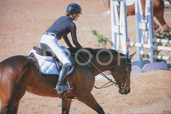 JJS_7288