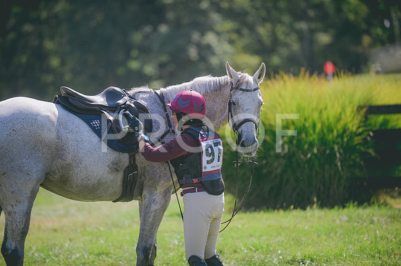 JJS_5281