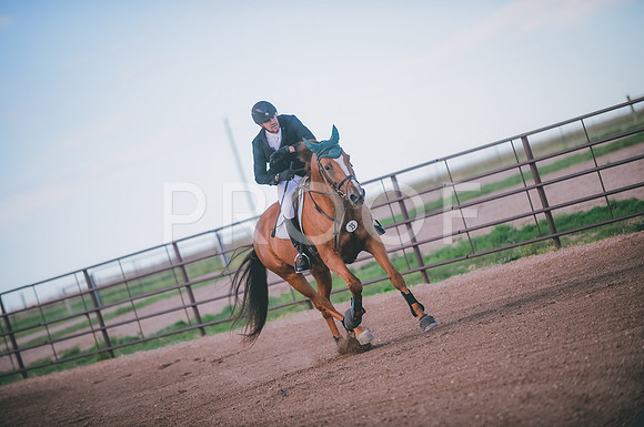 JJS_3195