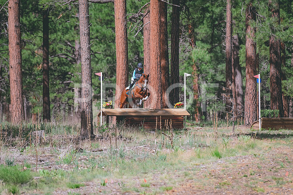 DSC_1624