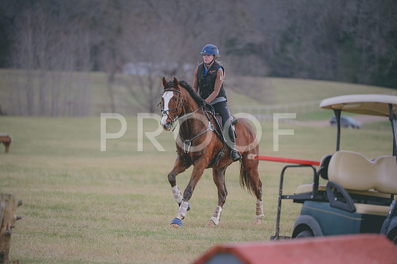 JJS_2495