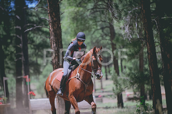 JJS_0362A