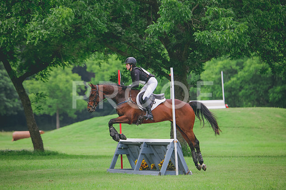 RWP_2419