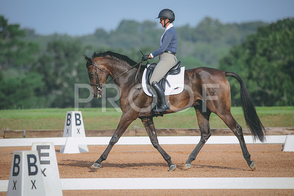 RWP_4408