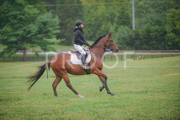 JJS_0425