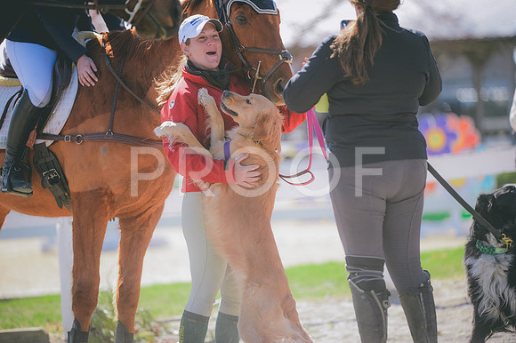 JJS_0188