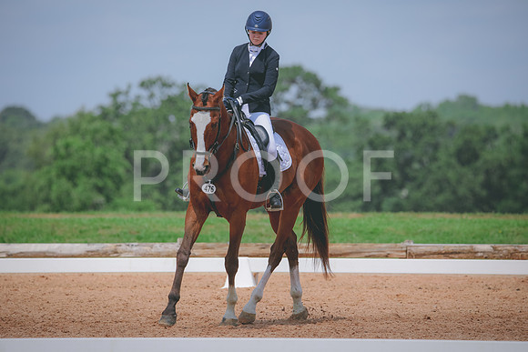 RWP_4435