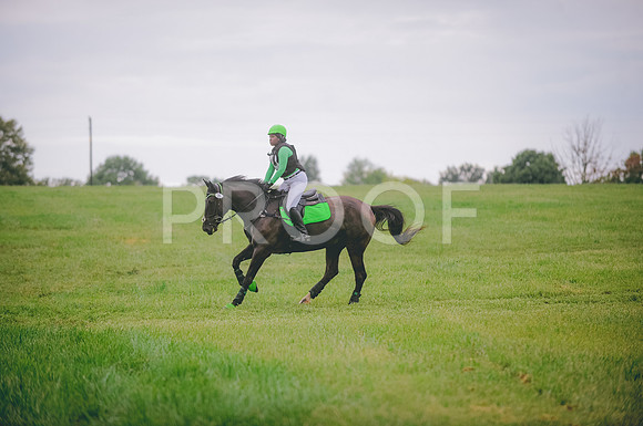 JJS_1411