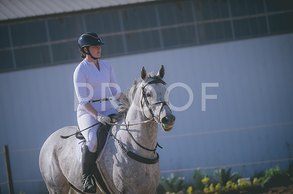 JJS_2604