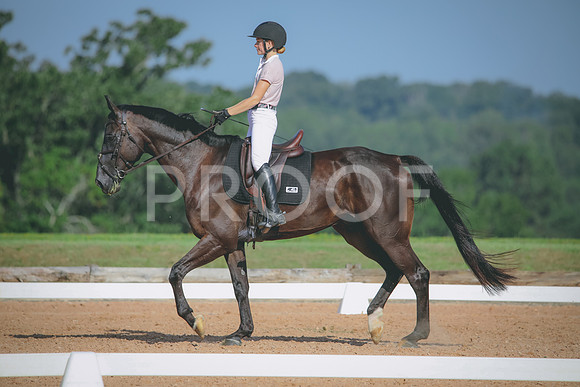 RWP_4620