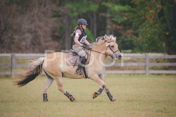 RWP_3574
