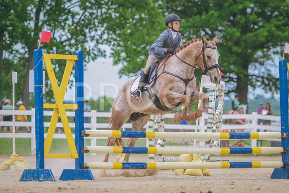 281A1361