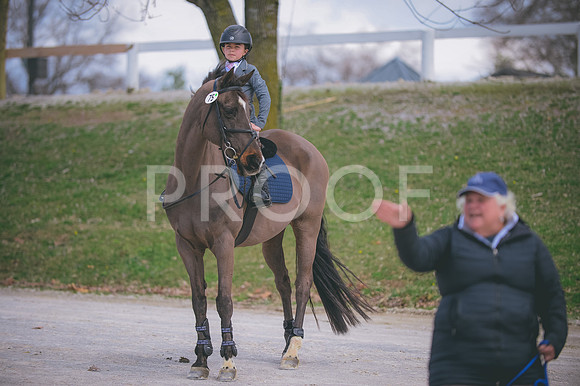 JJS_2811