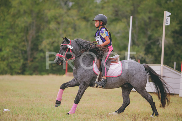 RWP_3860