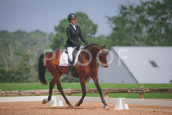 RWP_4318