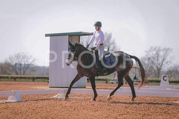 CDP_3555