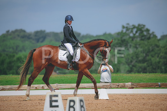 RWP_4445