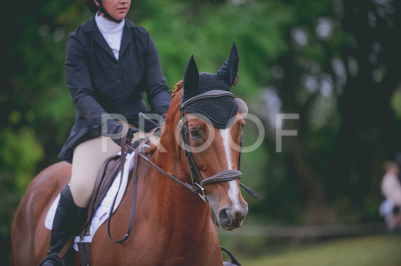 JJS_0569A