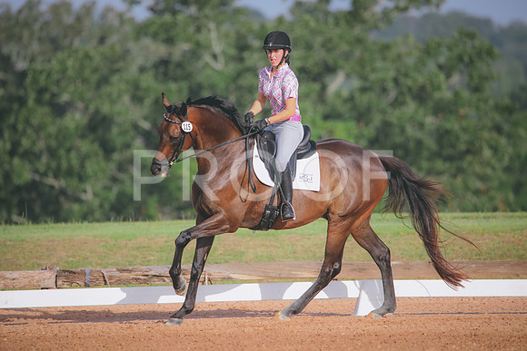 RWP_4346