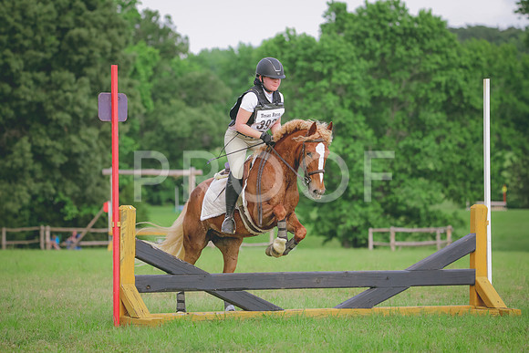 RWP_5248