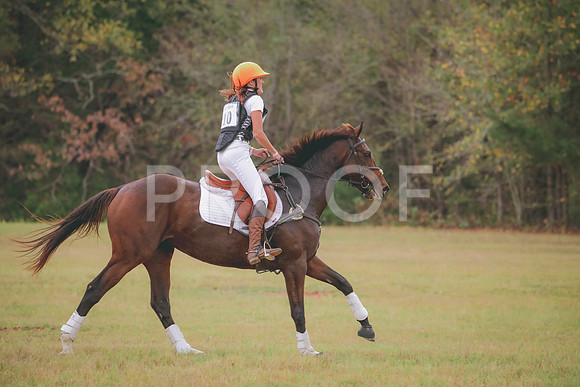 RWP_3808
